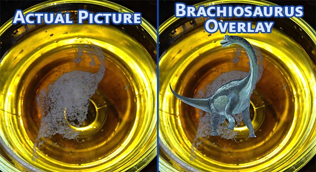 Brachiosaurus Beer