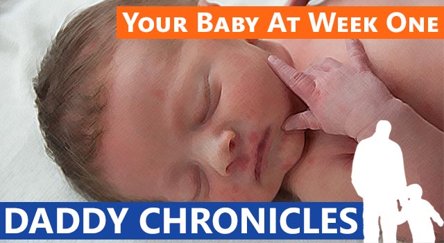 Daddy Chronicles: Your Baby At Week One