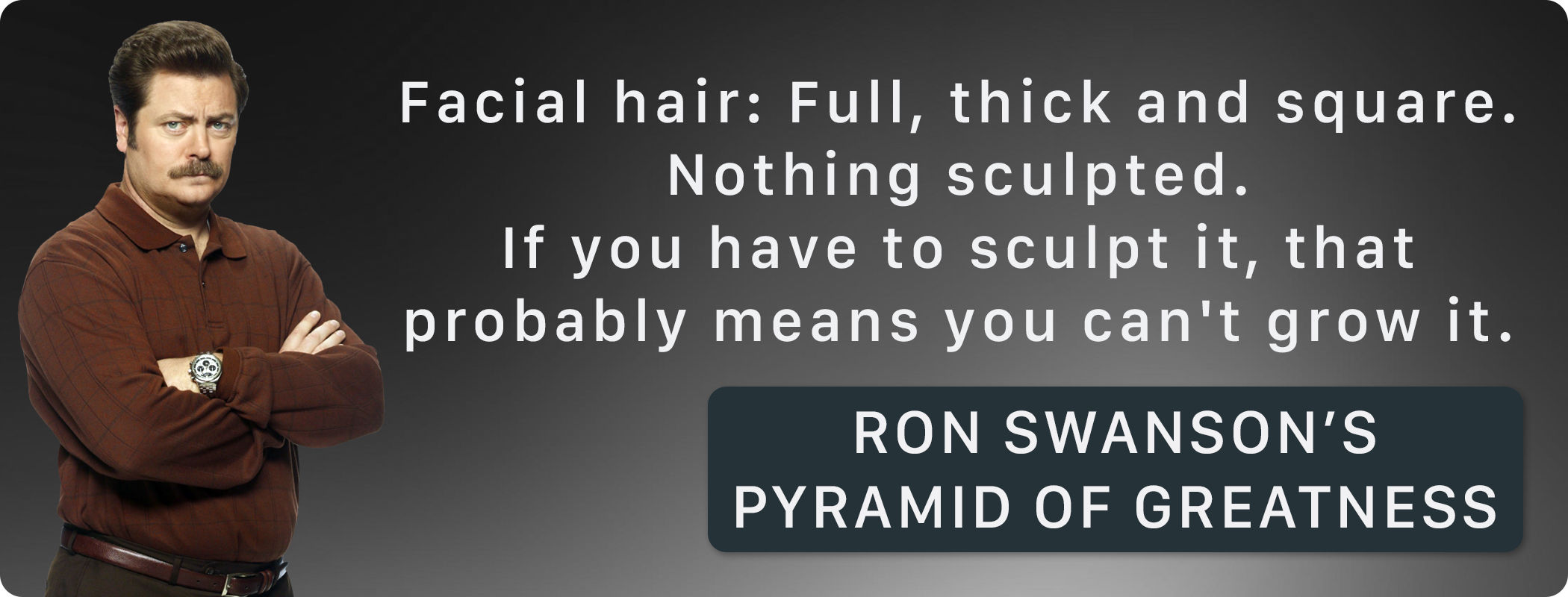 Ron Swanson's Pyramid of Beard Greatness